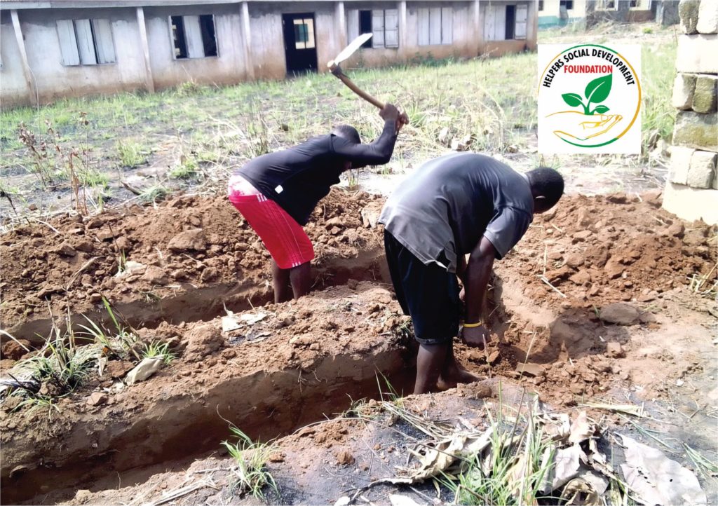 School Toilet Construction