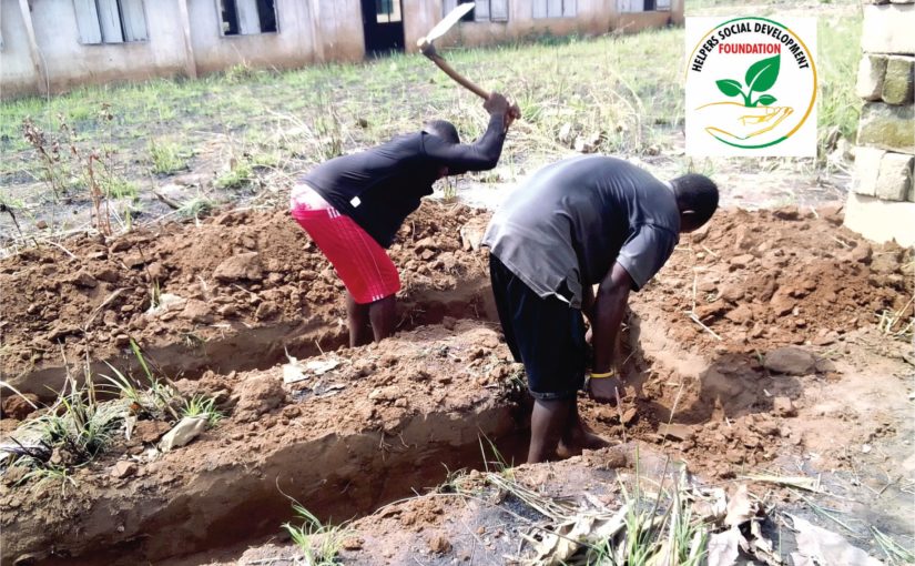 School Toilet Construction